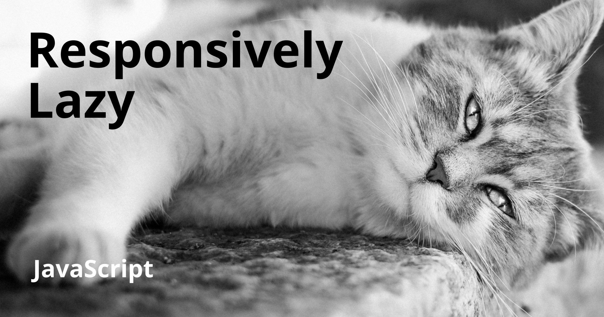 Responsively Lazy - lazy load responsive images